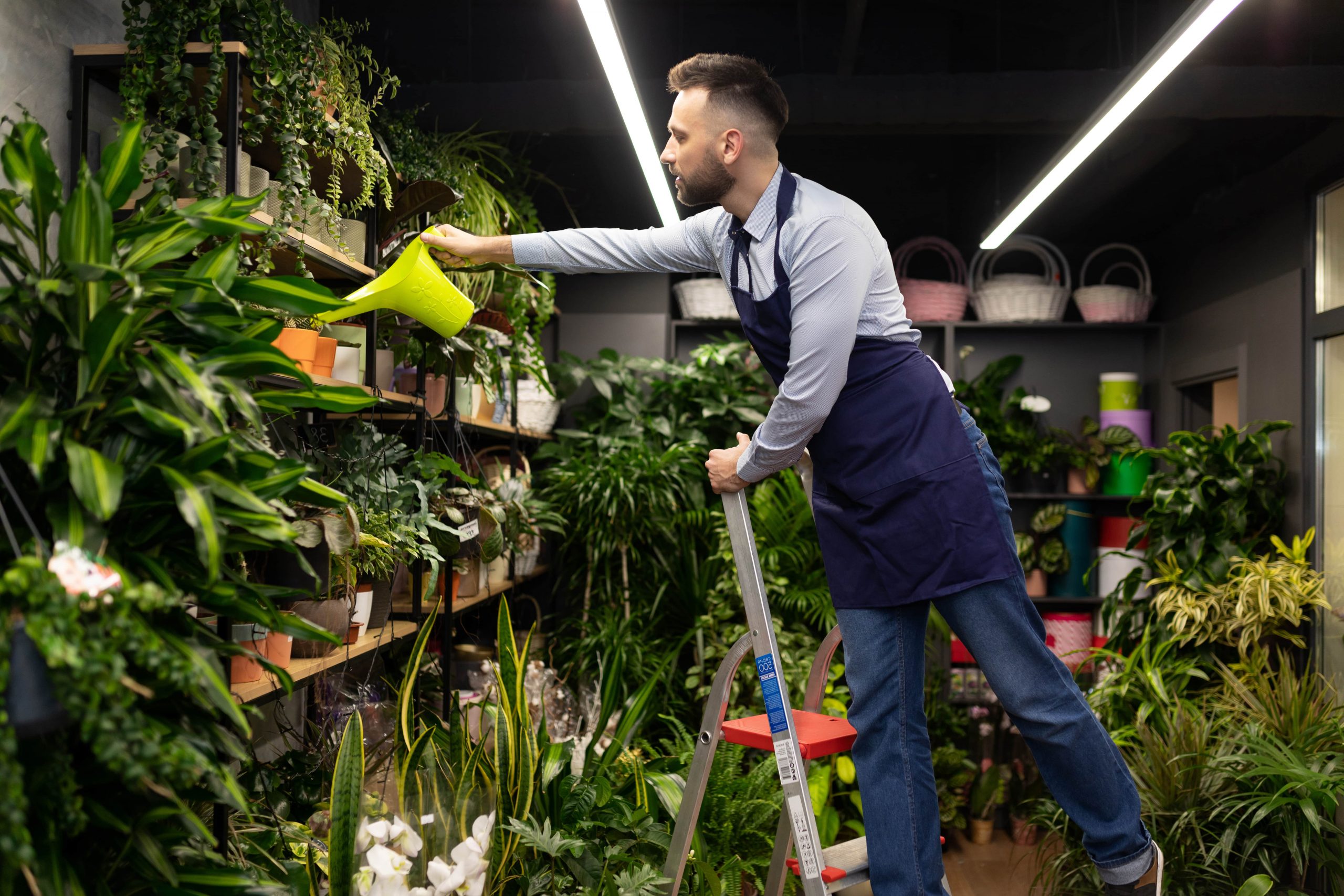 What is Water Gardening?